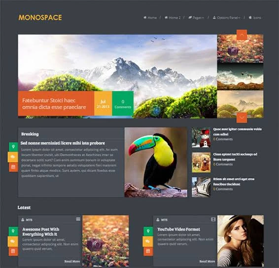 MyThemeShop Monospace WordPress Theme