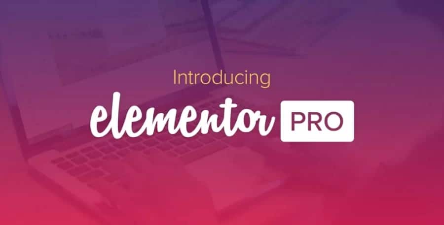 Elementor Pro - Website Builder