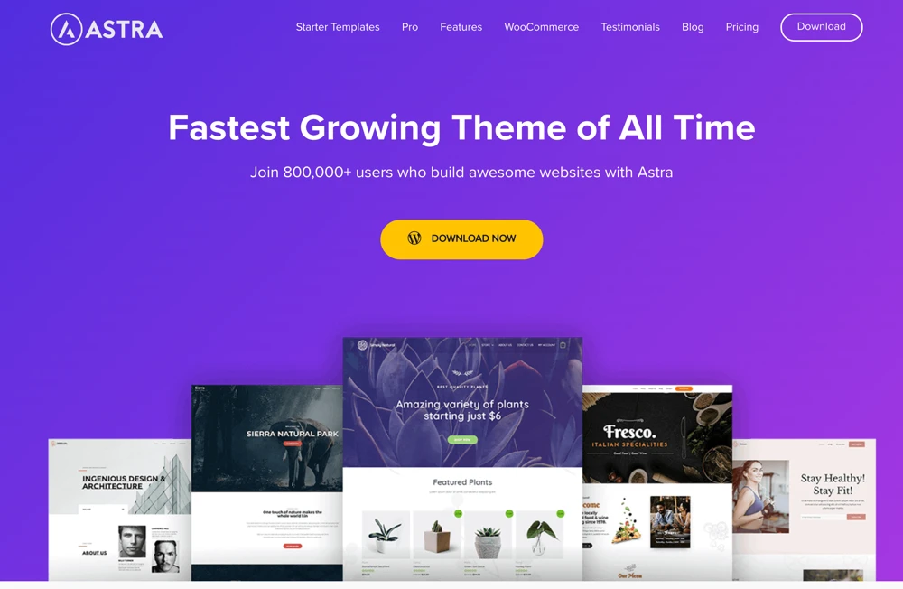 Astra Premium Sites Plugin + Agency Demos