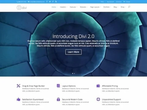 Elegant Themes Divi WordPress Theme + Layouts