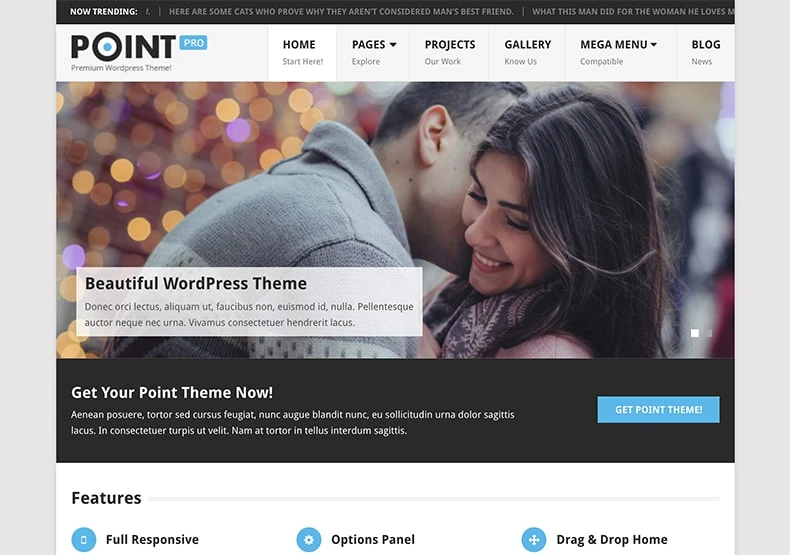 MyThemeShop Point Pro WordPress Theme