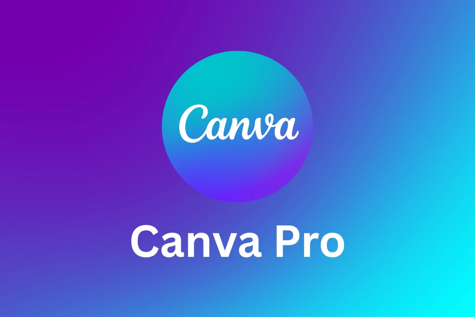 Canva Pro Edu