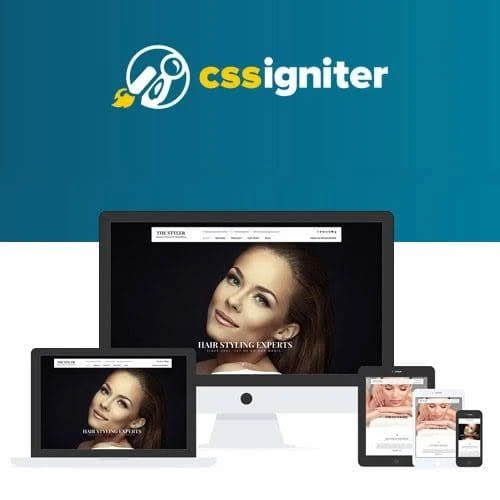 CSS Igniter Olympus Inn Hotel Motel WordPress Theme