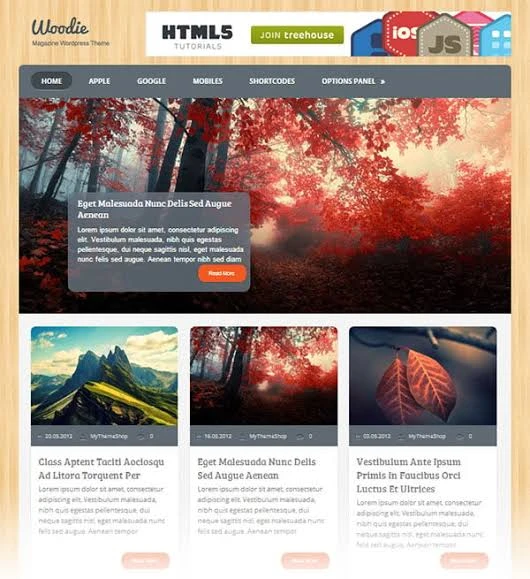 MyThemeShop Woodie WordPress Theme