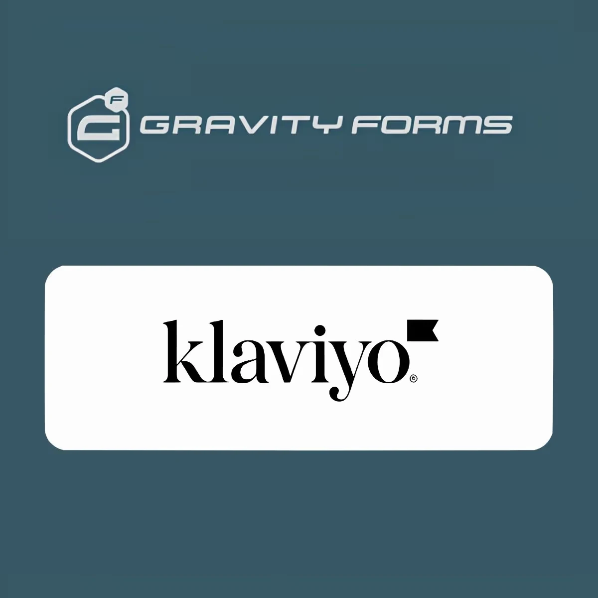 Gravity Forms Klaviyo Add-On