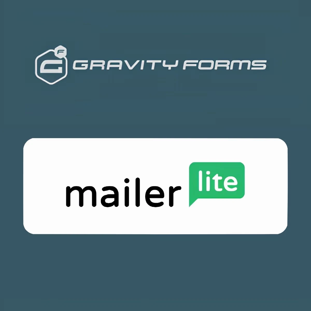 Gravity Forms MailerLite Add-On